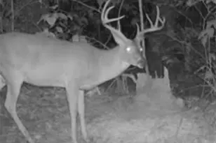 Tbd Cr 1579-2, Avinger, TX 75630 - Photo 9