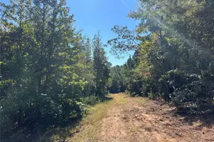 Tbd Cr 1579-2, Avinger, TX 75630 - Photo 7