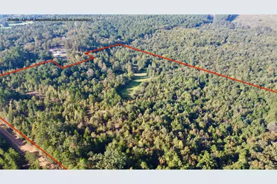 Tbd Cr 1579-2, Avinger, TX 75630 - Photo 5