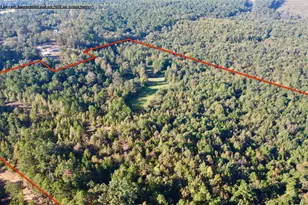 Tbd Cr 1579-2, Avinger, TX 75630 - Photo 5