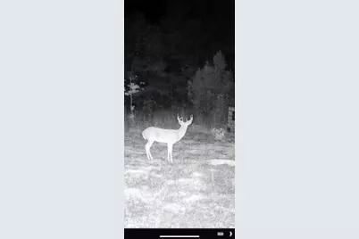 Tbd Cr 1579-2, Avinger, TX 75630 - Photo 13