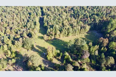 Tbd Cr 1579-2, Avinger, TX 75630 - Photo 3