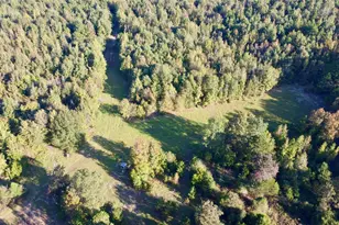 Tbd Cr 1579-2, Avinger, TX 75630 - Photo 3