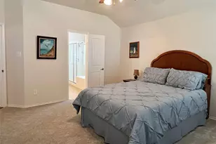 3804 White Summit Ln, Melissa, TX 75454 - Photo 17