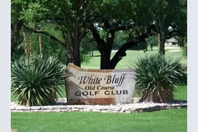 23108 Whispering Meadow Drive, Whitney, TX 76692 - Photo 13