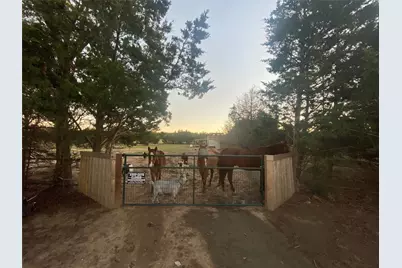 660 County Road 2184, Gainesville, TX 76240 - Photo 3