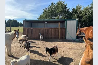 660 County Road 2184, Gainesville, TX 76240 - Photo 11