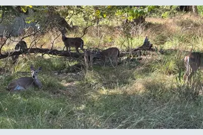 328 Comanche Trail, West Tawakoni, TX 75474 - Photo 31