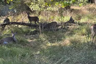 328 Comanche Trail, West Tawakoni, TX 75474 - Photo 31