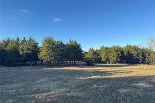 37 50 Acres Farm Road 38, Honey Grove, TX 75446 - Photo 1
