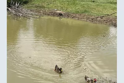 13265 Fm 1385, Pilot Point, TX 76258 - Photo 37