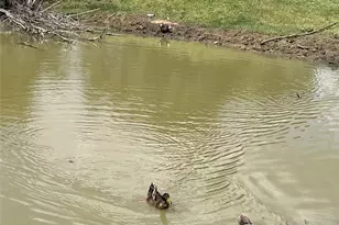 13265 FM1385, Pilot Point, TX 76258 - Photo 37