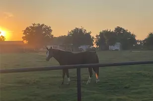 13265 FM1385, Pilot Point, TX 76258 - Photo 25