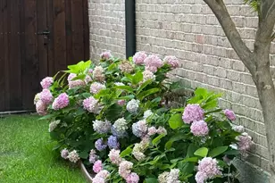 5718 Stanford Ave, Dallas, TX 75209 - Photo 17