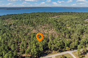 17151 Pintail Dr, Flint, TX 75762 - Photo 9