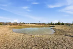 8402 Co Rd 501, Blue Ridge, TX 75424 - Photo 21