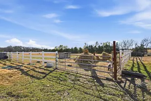 8402 Co Rd 501, Blue Ridge, TX 75424 - Photo 23