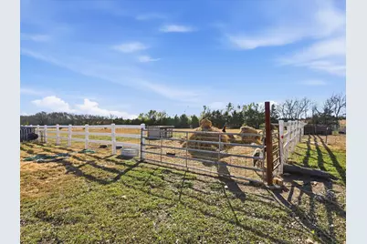 8402 County Road 501, Blue Ridge, TX 75424 - Photo 23