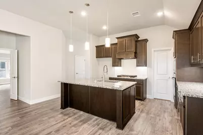 14542 Jemison Street, Pilot Point, TX 75009 - Photo 13