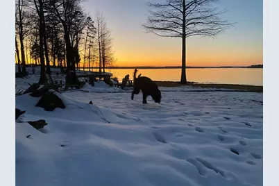 1219 County Road 2415, Leesburg, TX 75451 - Photo 13