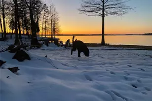 1219 Co Rd 2415, Leesburg, TX 75451 - Photo 13