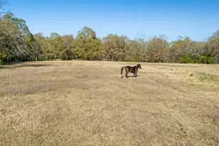 6144 Farm Road 197, Arthur City, TX 75411 - Photo 25