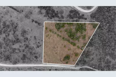 Tbd Lot 29 New Hope Road, Palo Pinto, TX 76484 - Photo 9