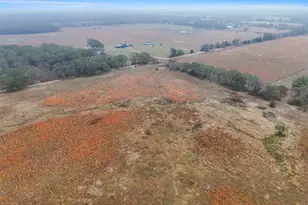 Tbd County Rd 2526, Quinlan, TX 75474 - Photo 1