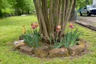 307 E Bois D Arc St, Leonard, TX 75452 - Photo 1