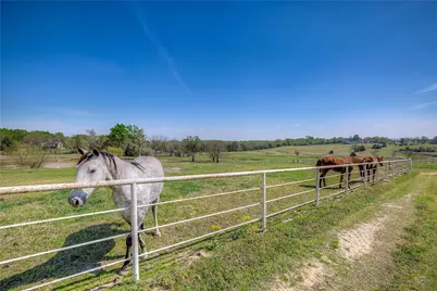 7359 Texas Highway 154 S, Sulphur Springs, TX 75482 - Photo 37