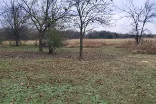 2761 Co Rd 1116, Brashear, TX 75420 - Photo 9