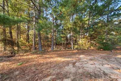 8124 Fm 416, Streetman, TX 75859 - Photo 29