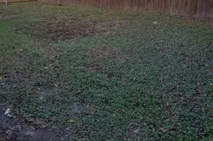 7507 April, North Richland Hills, TX 76182 - Photo 11