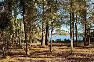 0000 Cr 3202, Chandler, TX 75758 - Photo 1