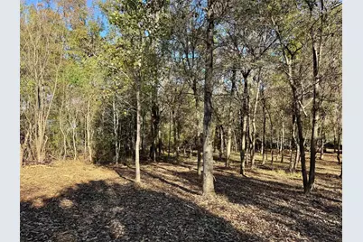 0000 Cr 3202, Chandler, TX 75758 - Photo 5