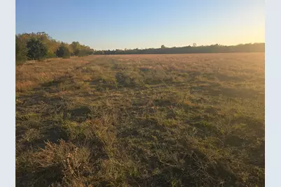 801 County Road 36010, Honey Grove, TX 75446 - Photo 5