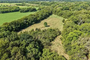 11731 NW State Hwy 11, Whitewright, TX 75491 - Photo 35