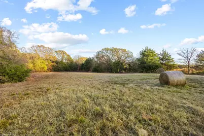 000 Cr 2645, Telephone, TX 75488 - Photo 17
