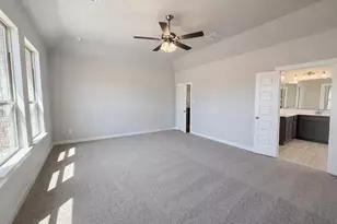 321 Skeen Peak, Springtown, TX 76082 - Photo 21