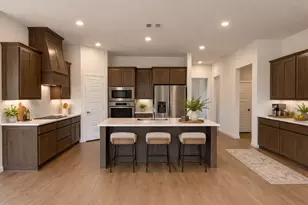 321 Skeen Peak, Springtown, TX 76082 - Photo 9