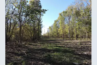 330 County Road 2975, Honey Grove, TX 75446 - Photo 11