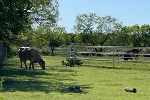 2107 Countryside Dr, Denton, TX 76208 - Photo 35