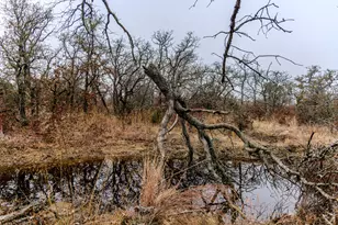 2946 FM 52, Graford, TX 76449 - Photo 25