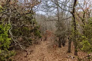 2946 FM 52, Graford, TX 76449 - Photo 21