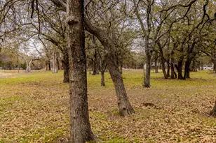 2946 FM 52, Graford, TX 76449 - Photo 37