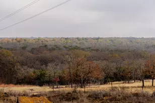 2946 FM 52, Graford, TX 76449 - Photo 33