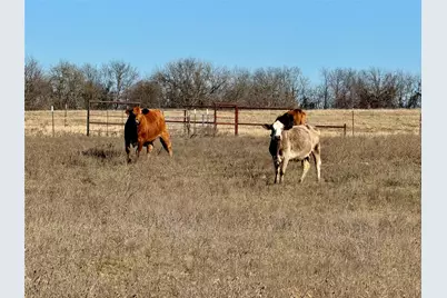 840 County Road 4817, Wolfe City, TX 75496 - Photo 5