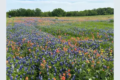 00 Fm-660, Ennis, TX 75119 - Photo 1