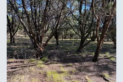 Lot 599 Caprock Court, Possum Kingdom Lake, TX 76449 - Photo 3