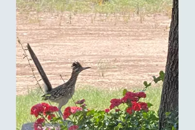 Lot 599 Caprock Court, Possum Kingdom Lake, TX 76449 - Photo 13